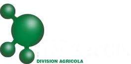 Logo de Italgroup SA