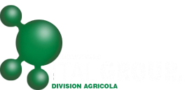 Logo de Italgroup SA